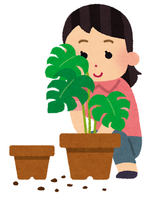 植物の世話をする女性