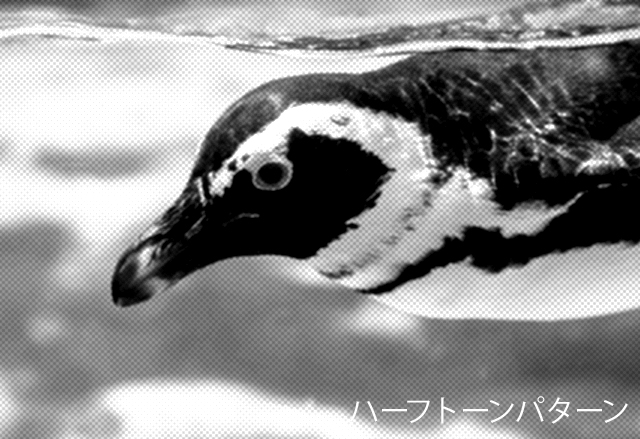 ペンギン-ハーフトーンパターン